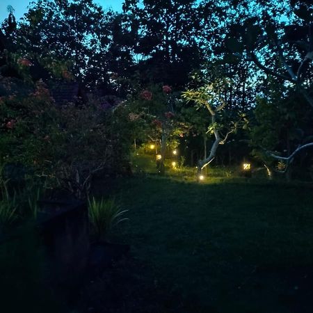 Bougainvillea Bungalow Batumadeg Exteriör bild